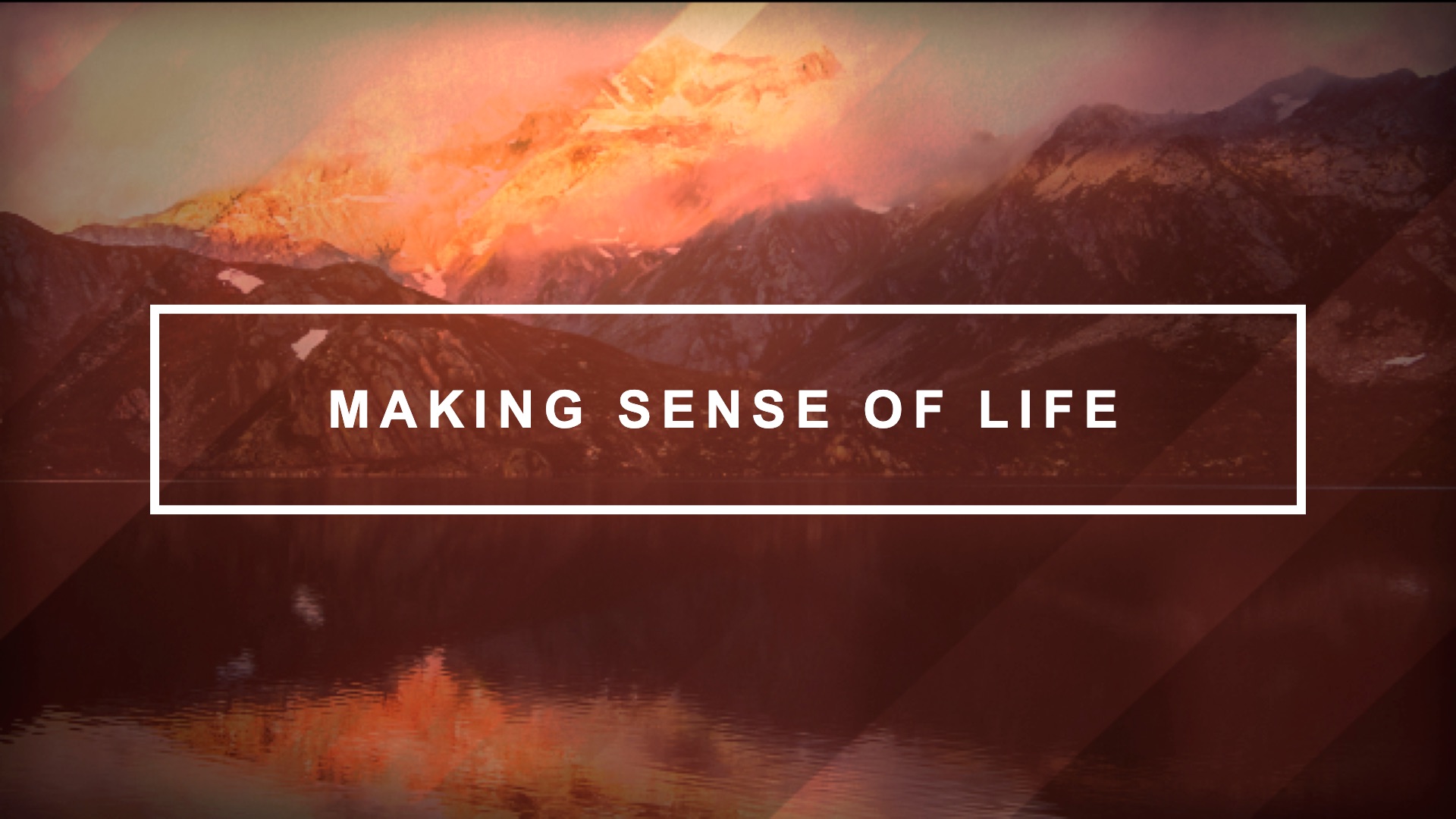 Making Sense of Life