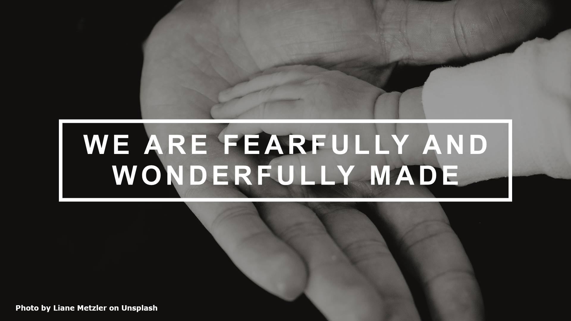 We are Fearfully and Wonderfully Made!