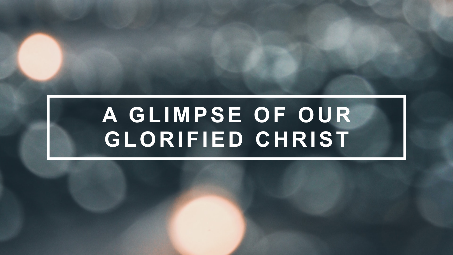 A Glimpse of Our Glorified Christ, Part 2